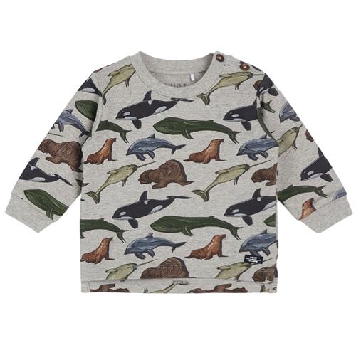 Hust & Claire bluse isoli grå hvaler - GOTS, str. 86, 92